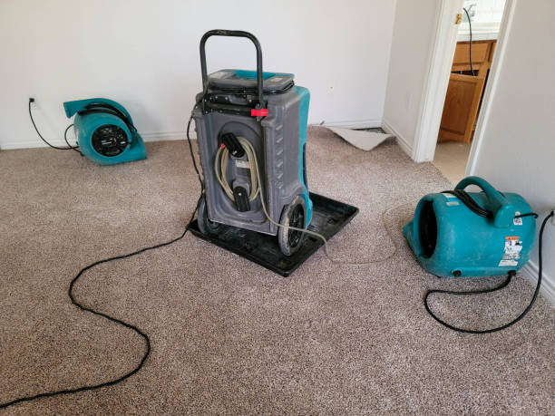 Best 24/7 water damage repair  in Chelsea, OK