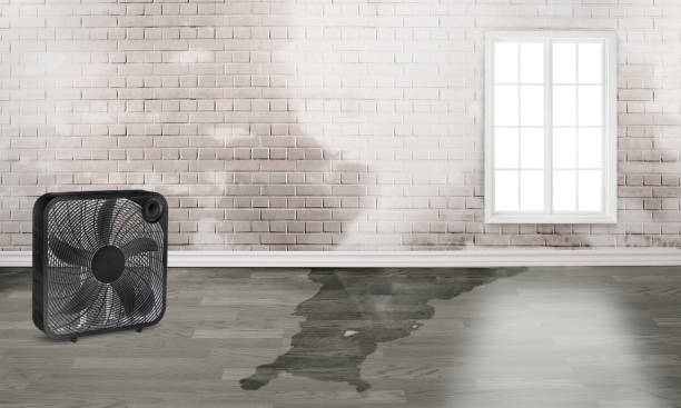 Best Flood restoration services  in Chelsea, OK